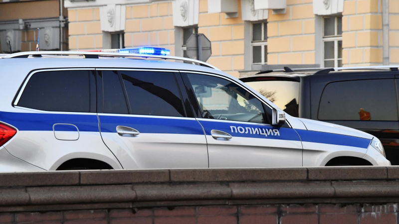 В Ленинградской области задержали бойца ММА после драки
