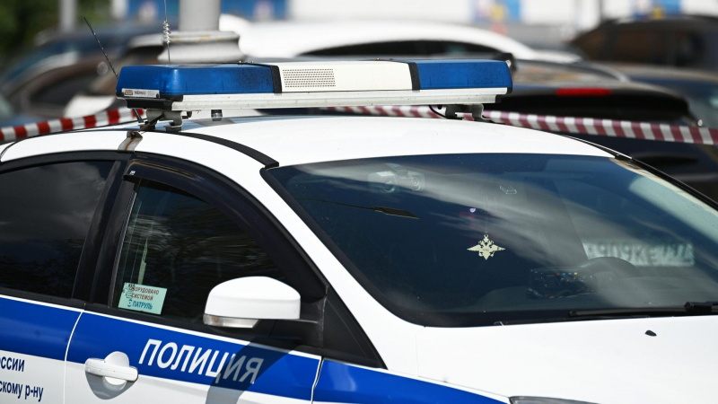 В Ленинградской области задержали бойца ММА после драки